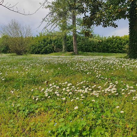 Corte Malpensata Bigarello Eksteriør bilde
